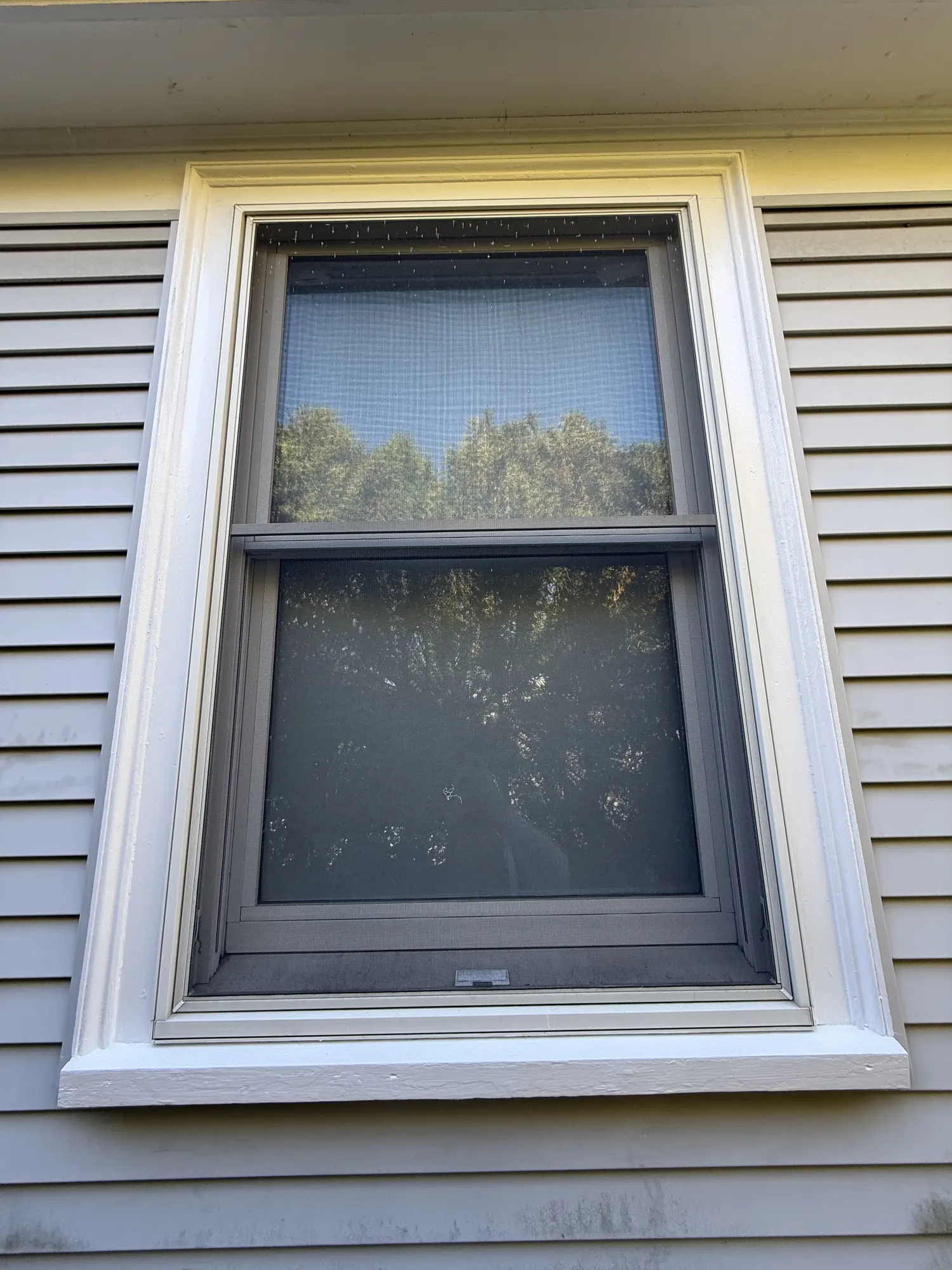 Freshly painted white window trim following a Proper Paint exterior repair project